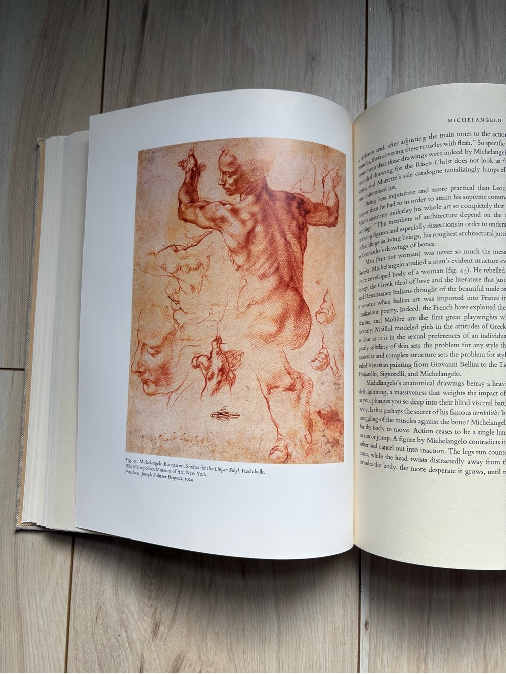 Vintage Artists & Anatomists Art Book Anatomy Drawing Michelangelo Greek